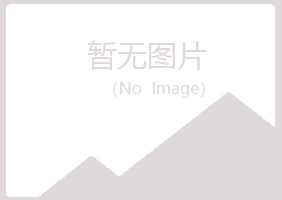 麻山区距离能源有限公司